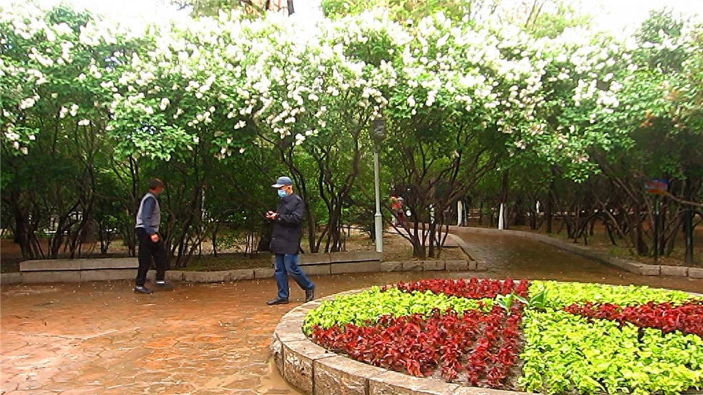 哈尔滨隐藏最深的一座公园,外地人恐怕都找不到——清滨公园