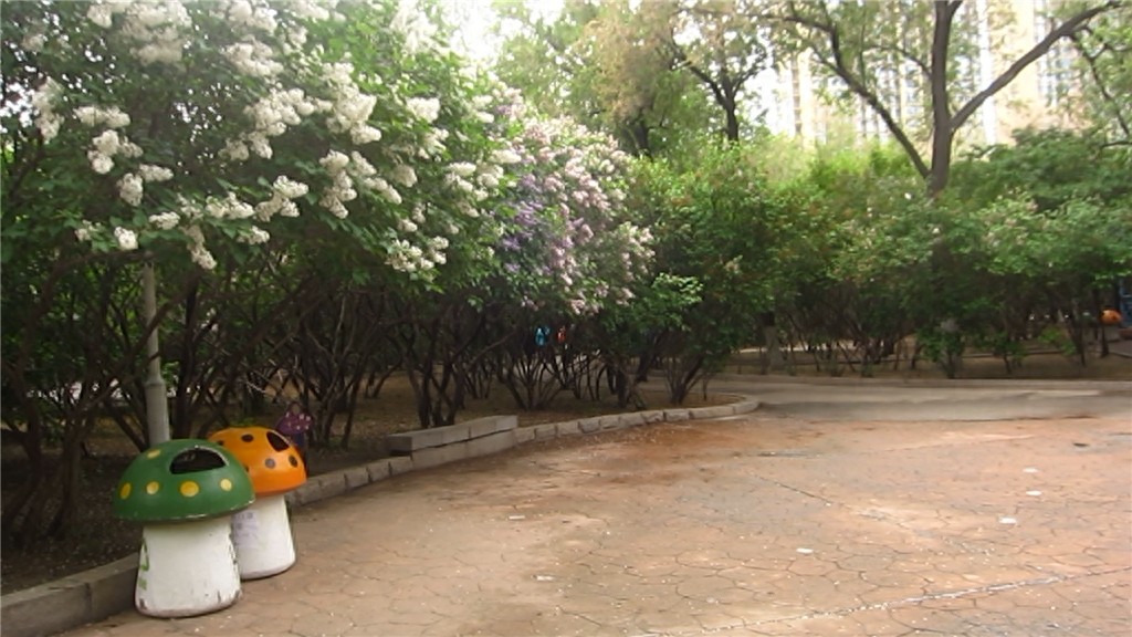 哈尔滨隐藏最深的一座公园,外地人恐怕都找不到——清滨公园