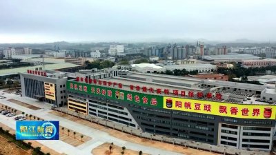 ​阳江阳帆豆豉：打造工业旅游示范点 传承传统豆豉文化
