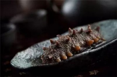 ​海参花是什么？海参花能吃吗？