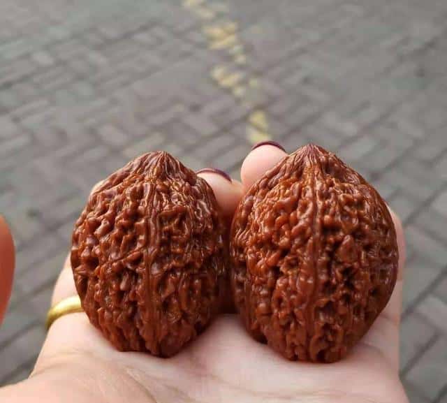 盘核桃该怎么盘（盘核桃的正确盘法）