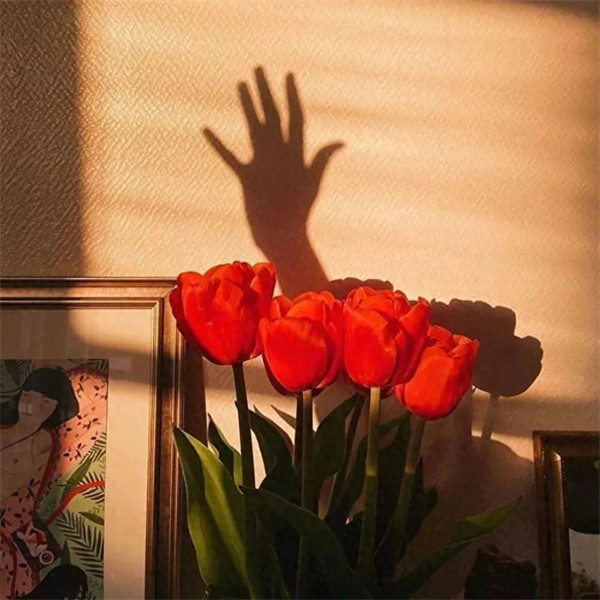 暗示自己被冷落的句子(被冷落的高情商短句)