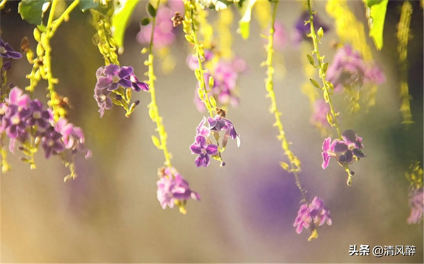 暗示自己被冷落的句子(被冷落的高情商短句)