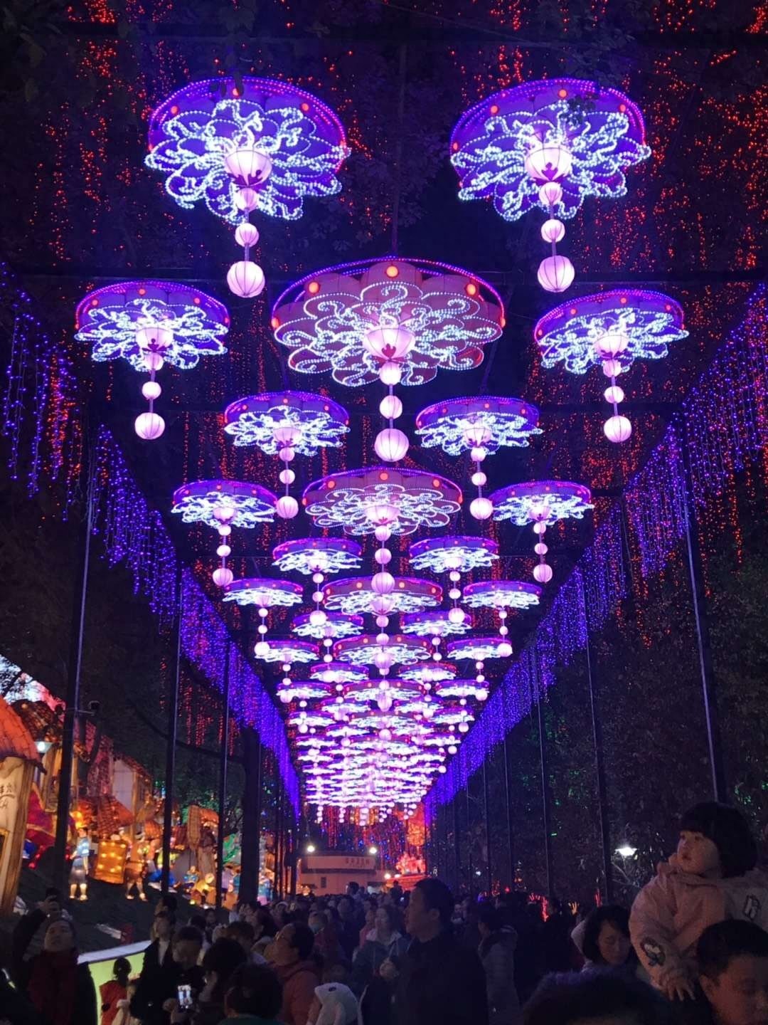 自贡灯会今日开幕，一起约起看灯会吧