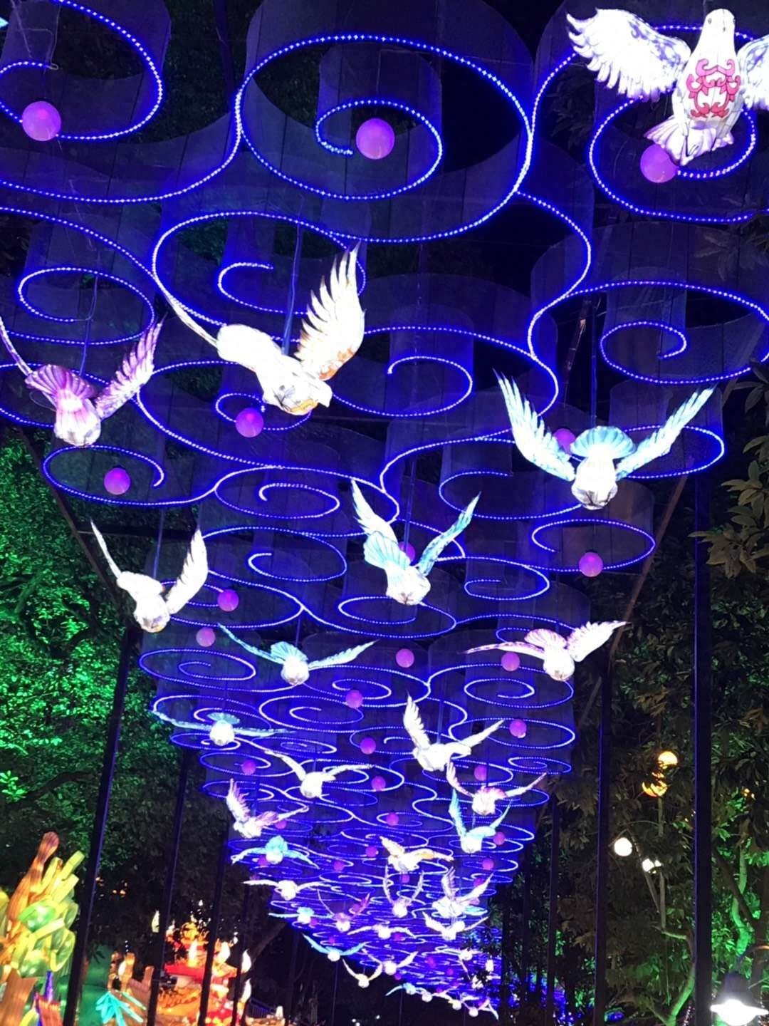 自贡灯会今日开幕，一起约起看灯会吧