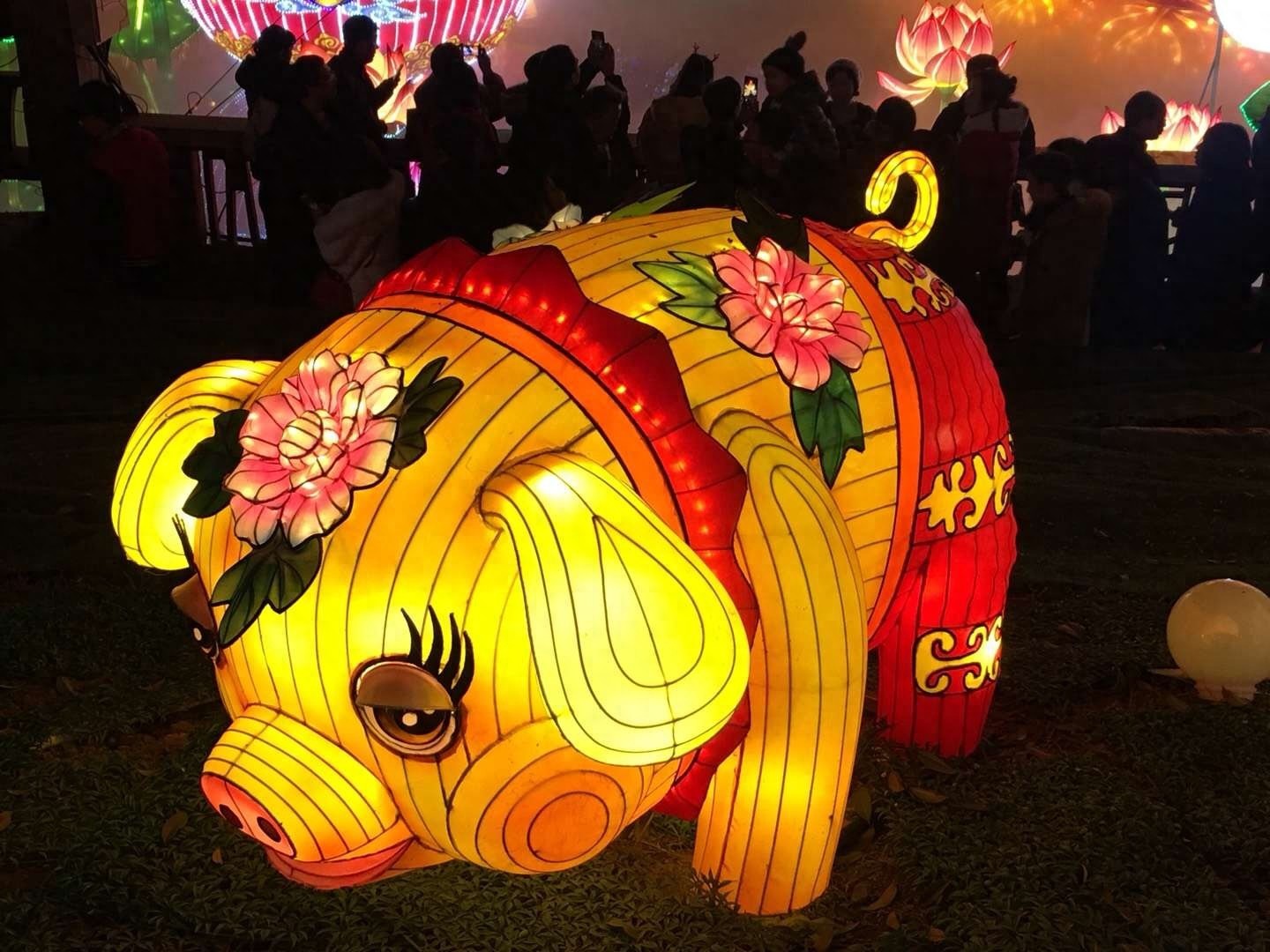 自贡灯会今日开幕，一起约起看灯会吧