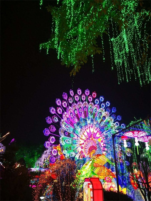 自贡灯会今日开幕，一起约起看灯会吧