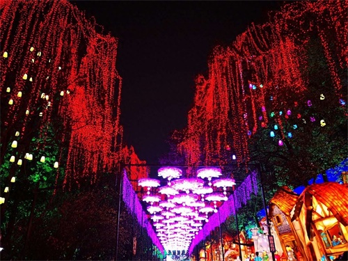 自贡灯会今日开幕，一起约起看灯会吧