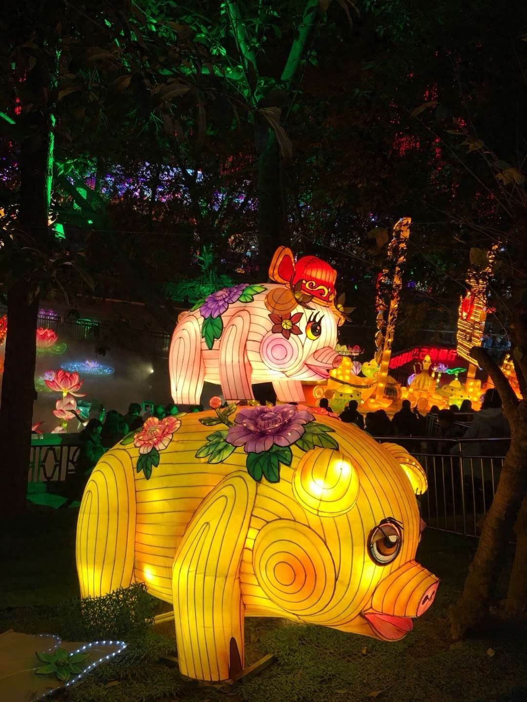 自贡灯会今日开幕，一起约起看灯会吧