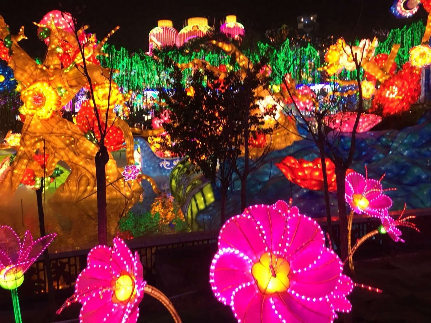 自贡灯会今日开幕，一起约起看灯会吧