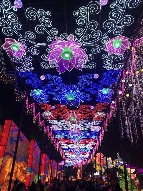 自贡灯会今日开幕，一起约起看灯会吧