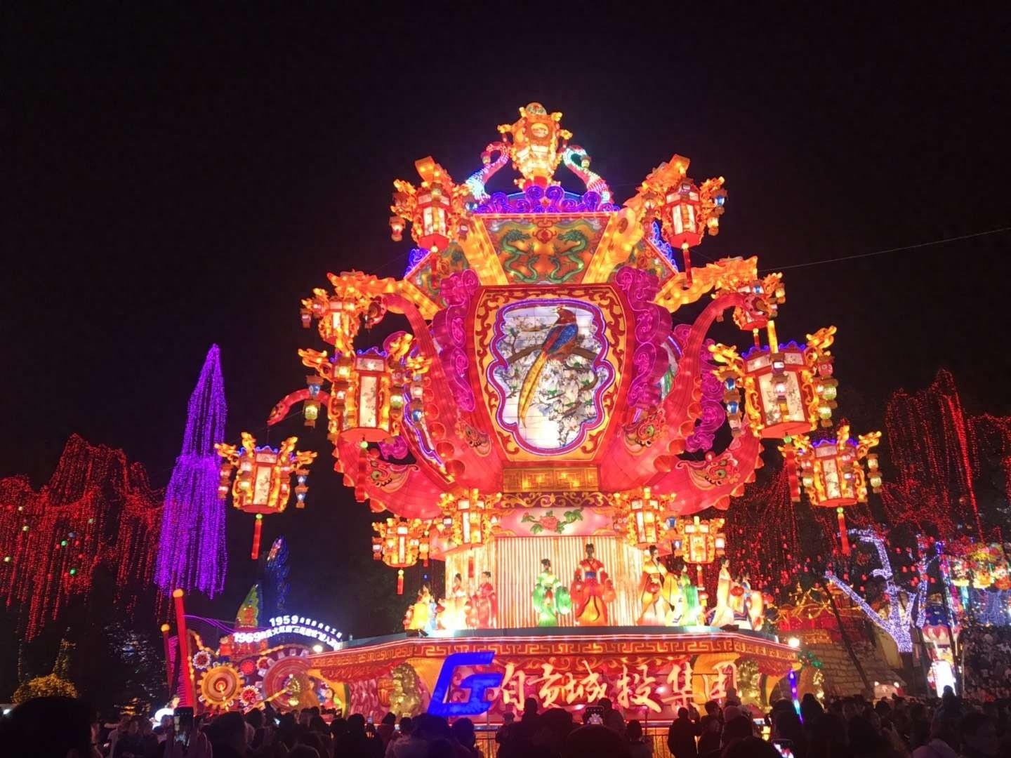 自贡灯会今日开幕，一起约起看灯会吧