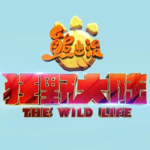 ​“光头强”不光头了？第七部“熊出没”春节档要走科幻风