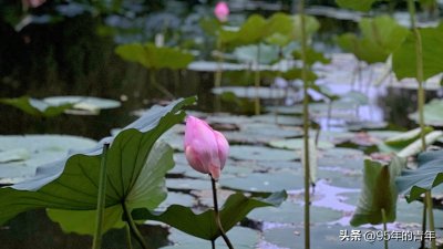 ​华为5G技术引领全球，开启数字化时代