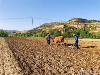 ​开春聊一聊传统的农耕文化