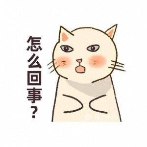 领角鸮疑似捕食时撞上楼栋外墙,市民紧急救助!