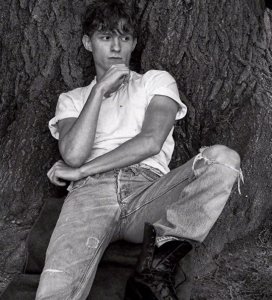 帅气的荷兰弟壁纸(二)