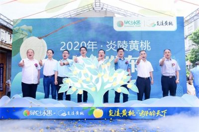 ​绿叶水果携全国各地水果大佬助力炎陵黄桃 签订首批订单600万斤