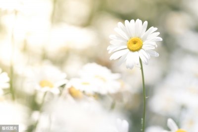 ​立夏养生注意3个重点，季节交替、气候变化中也能保护身体健康