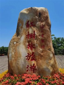 ​说说含“女”字的成语大世界