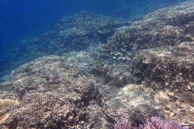 大兴有什么地方 好玩的地方吗?大兴有什么好玩儿的地方