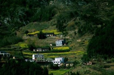 广州公交从化10路?运营时间