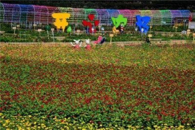 河南离安徽最近的旅游景点有哪些