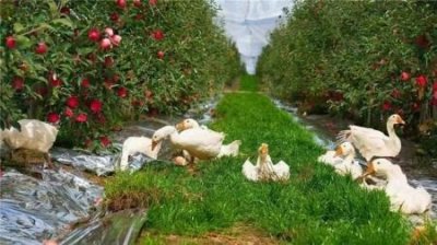 你最喜欢哪个景点的英语翻译最让你流连忘返的景点