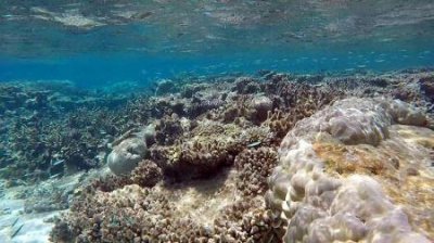 北陵旅游攻略北陵公园景点