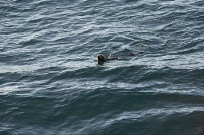 7月旅游去哪,7月旅游去哪里