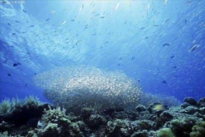 ​厦门周边自驾游，厦门周边自驾一日游