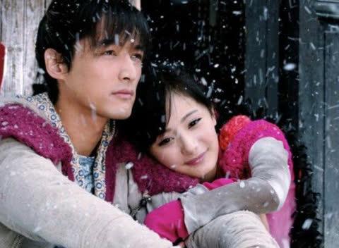 胡歌的电视剧有哪些(胡歌主演的7部电视剧介绍)(4)