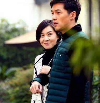 胡歌的电视剧有哪些(胡歌主演的7部电视剧介绍)(13)