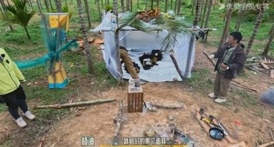 他们怎么落魄成这样了?