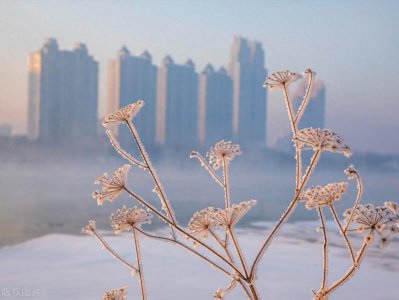 ​今年“三九”为何这么暖？后面还冷吗？