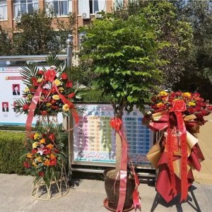 ​快来围观！潍坊中新双语学校20周年校庆文化节隆重举行