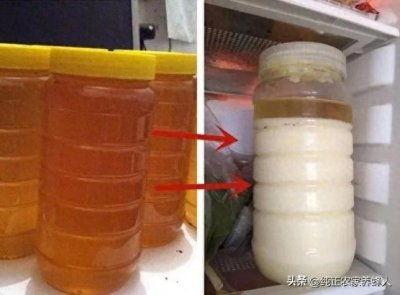 ​为什么从养蜂人那里买的纯蜂蜜要放在冰箱里保存，不能室温保存？