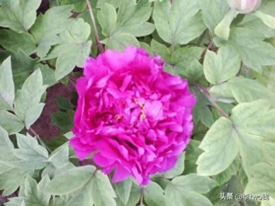 ​2023年网络最红十首歌曲，看看有你爱听的没