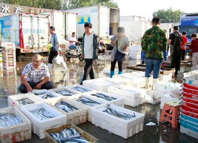 ​逛市场|开海第五天，到烟台九田市场看看海鲜行情