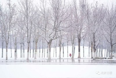 一觉醒来,北京的雪又“到货”了!一大波美图→