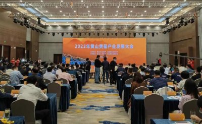 歙县：中国四大名菊产业发展联盟登场