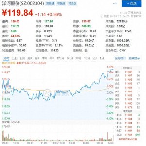 ​洋河股份（002304）股票信息