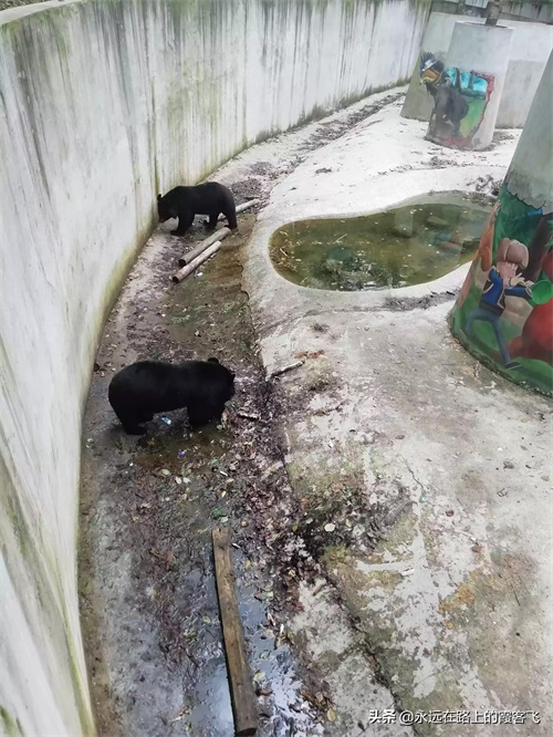 神农架景区地图攻略