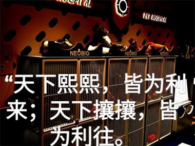 ​一个人就能做的12种赚钱生意