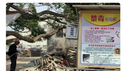 ​林耀东原型竟是他!现实版<破冰行动>