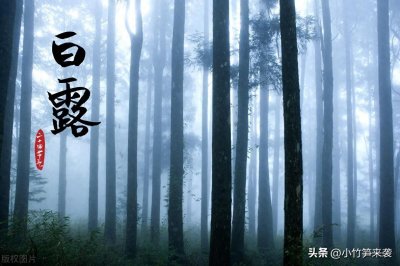 ​二十四节气之速记谚语