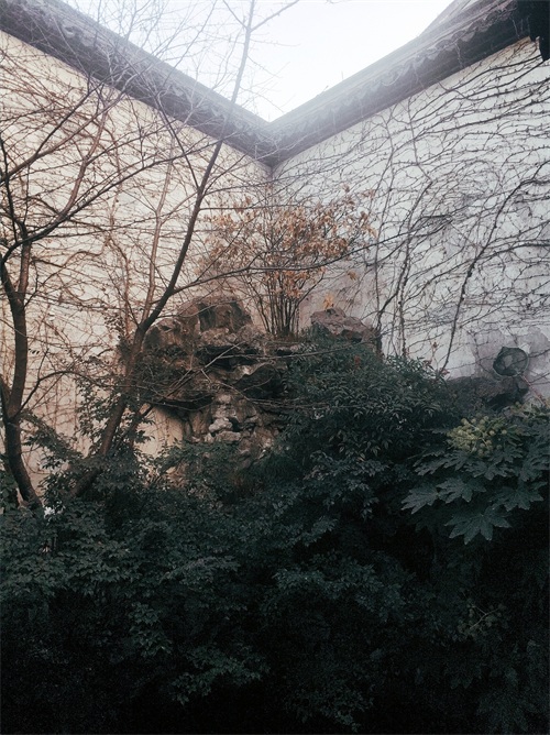 打工路上偶游—杭州—胡雪岩故居