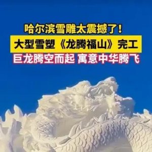 ​雪雕艺术再现《龙腾福山》——哈尔滨16名雪雕师创作壮丽作品