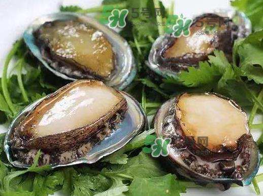 花蛤没开口能吃吗?花蛤不张嘴是不是死了? 花蛤没开口能吃吗?花蛤不张嘴是不是死了?