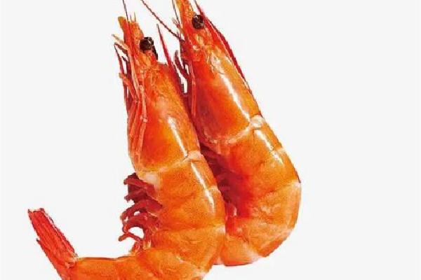 基围虾要冷水下锅还是开水下锅 基围虾煮几分钟口感最好 基围虾要冷水下锅还是开水下锅 基围虾煮几分钟口感最好